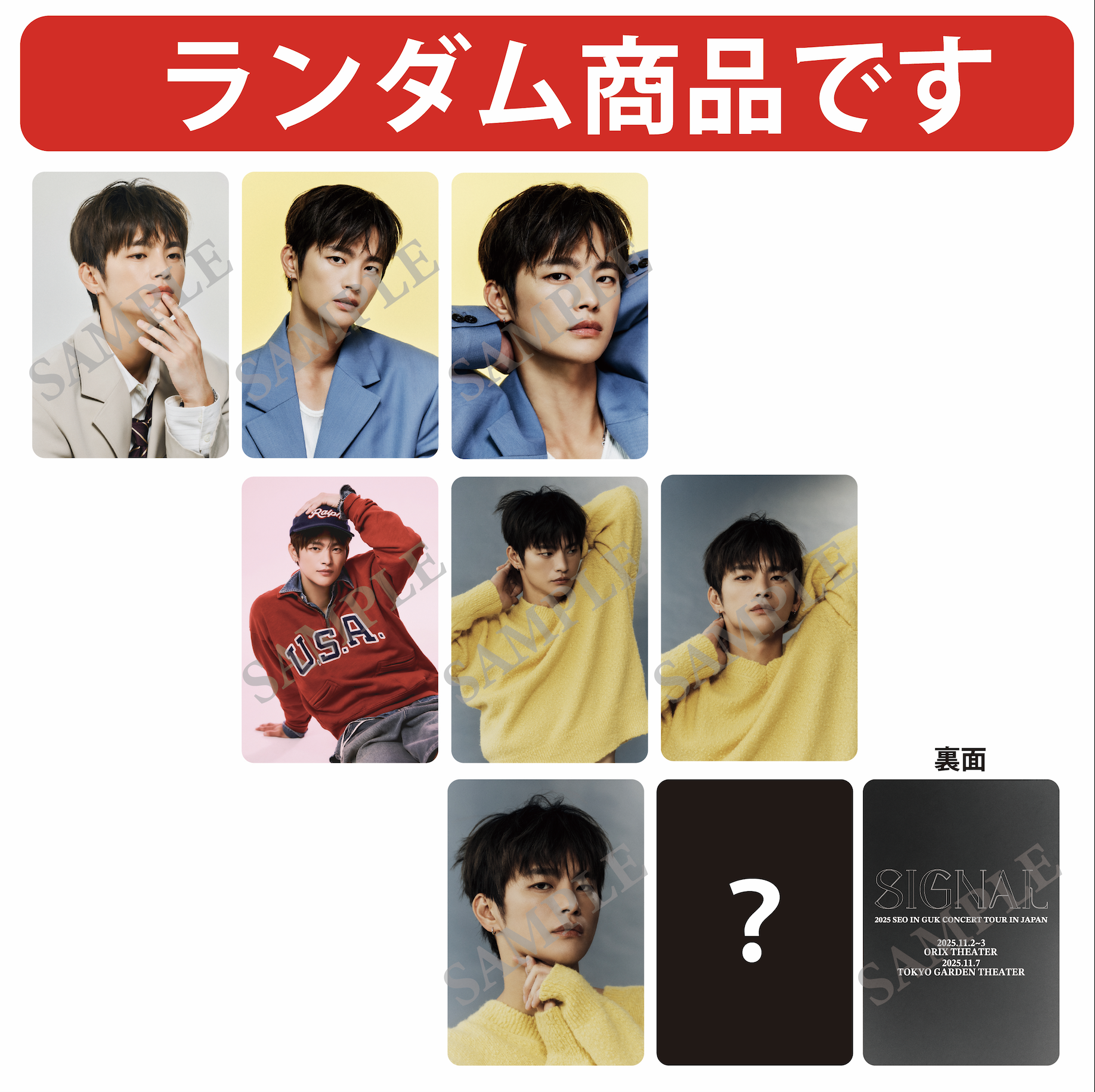 【SIGNAL】ランダムトレカ全8種(7種+シークレット1種)