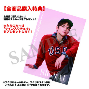 【SIGNAL】ランダム缶バッジ3種